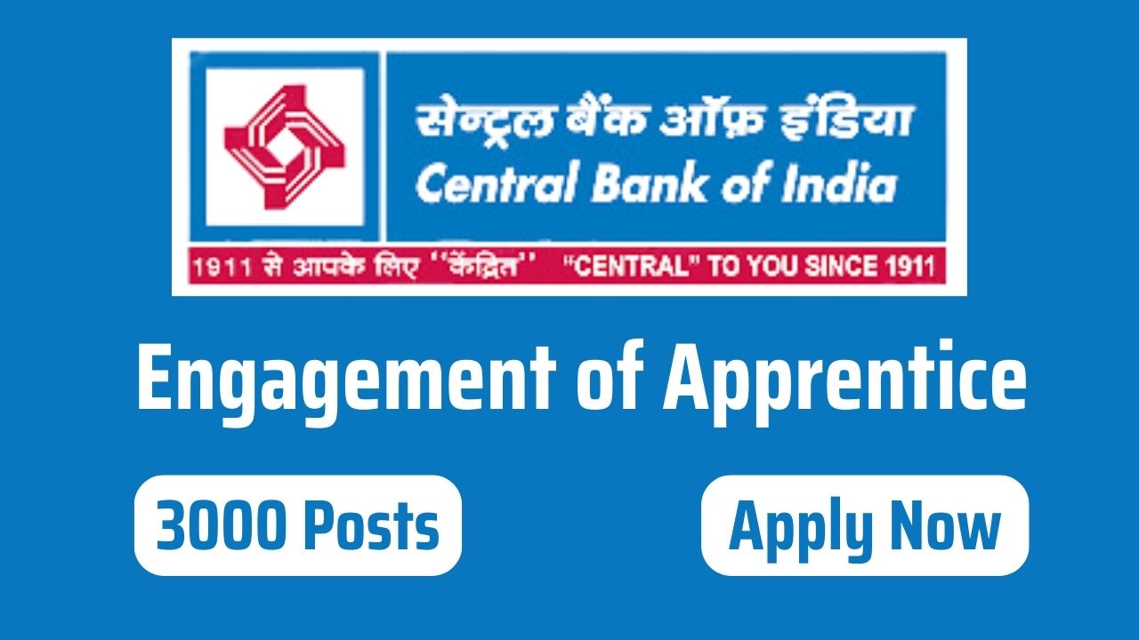central bank of india apprenticeship