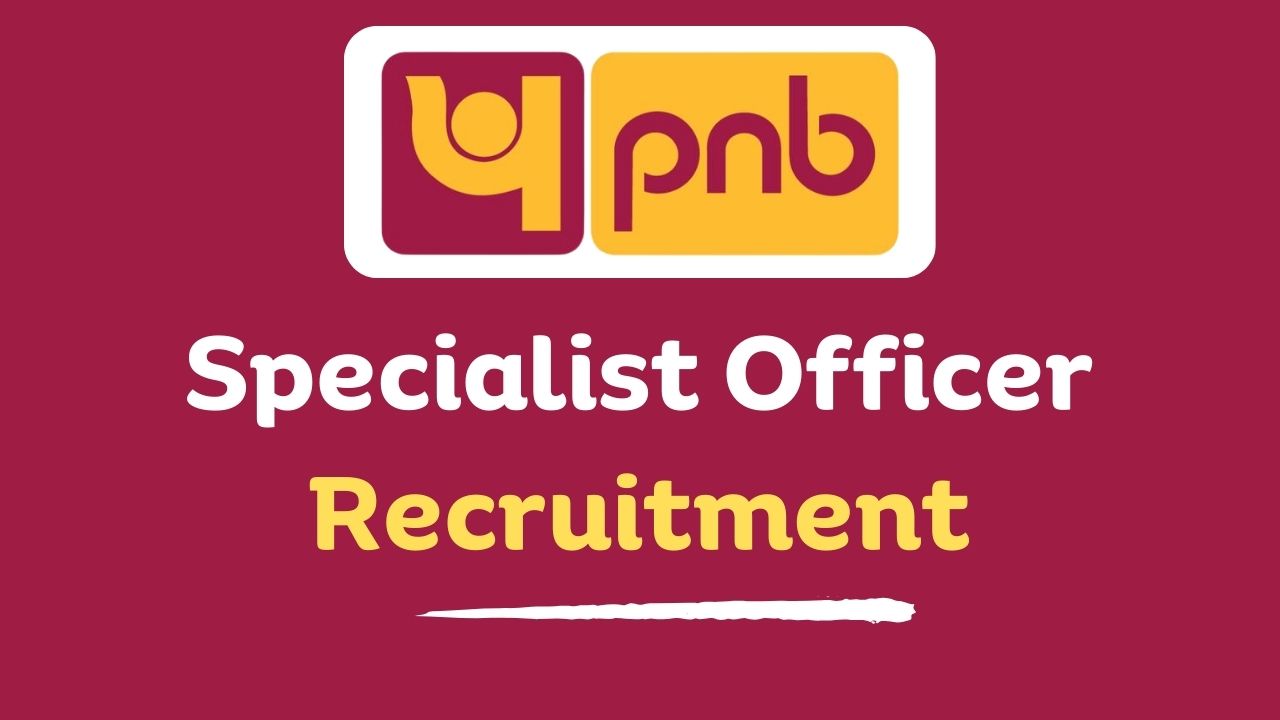 pnb credit officer vacancies